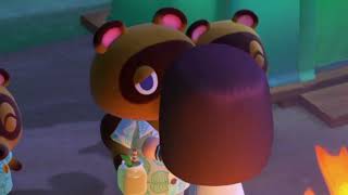 All Bunny or Dog Island ~ ACNH Playthrough Day 1 ~ Welcome to Hopscotch!