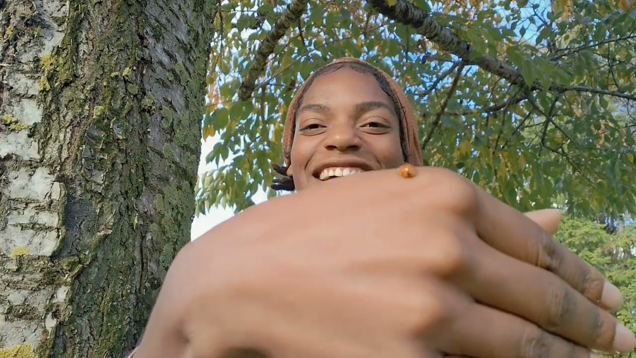 Contrast as Teacher; Accountability as the Right Hand ↔️ 