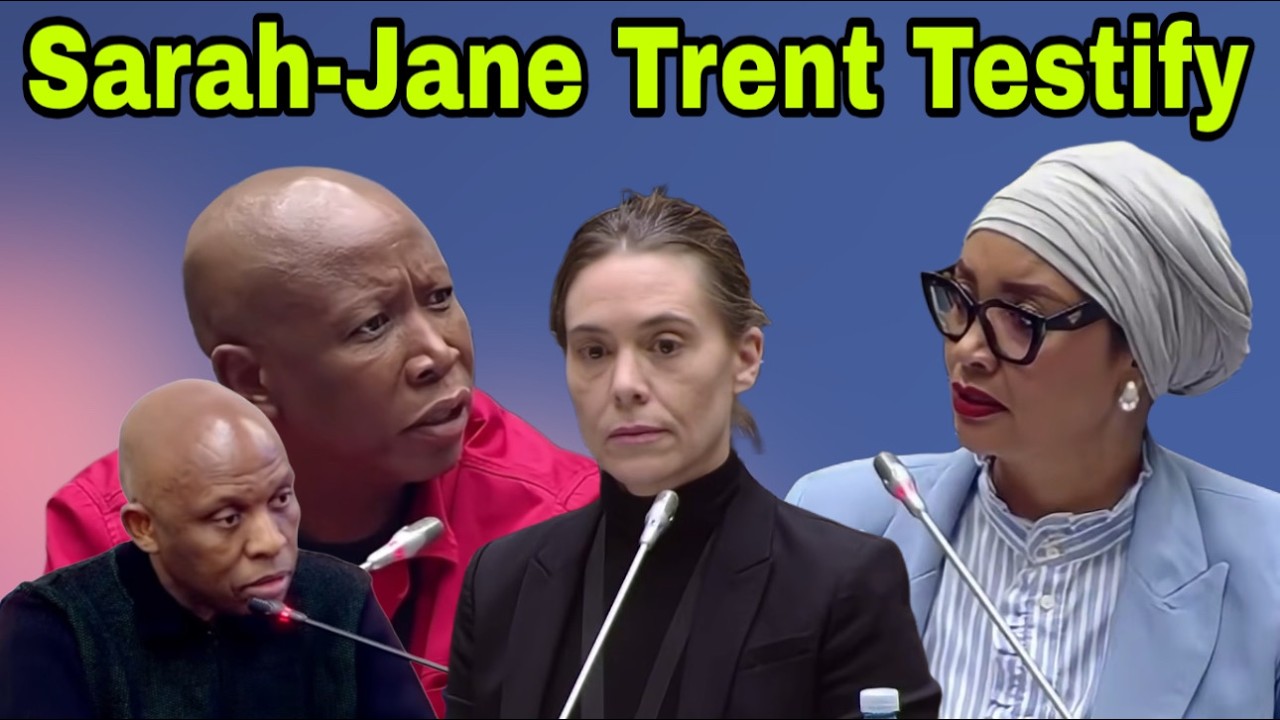 Paul O'Sullivan & Sarah-Jane Trent testify at Ad Hoc Committee.