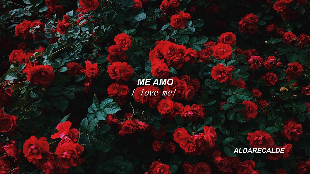 Love Myself Hailee Steinfeld (Letra Español) YouTube Love Myself Hailee Steinfeld (Letra Español) YouTube