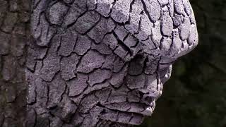 Dark Ambient Music | Dark Music |