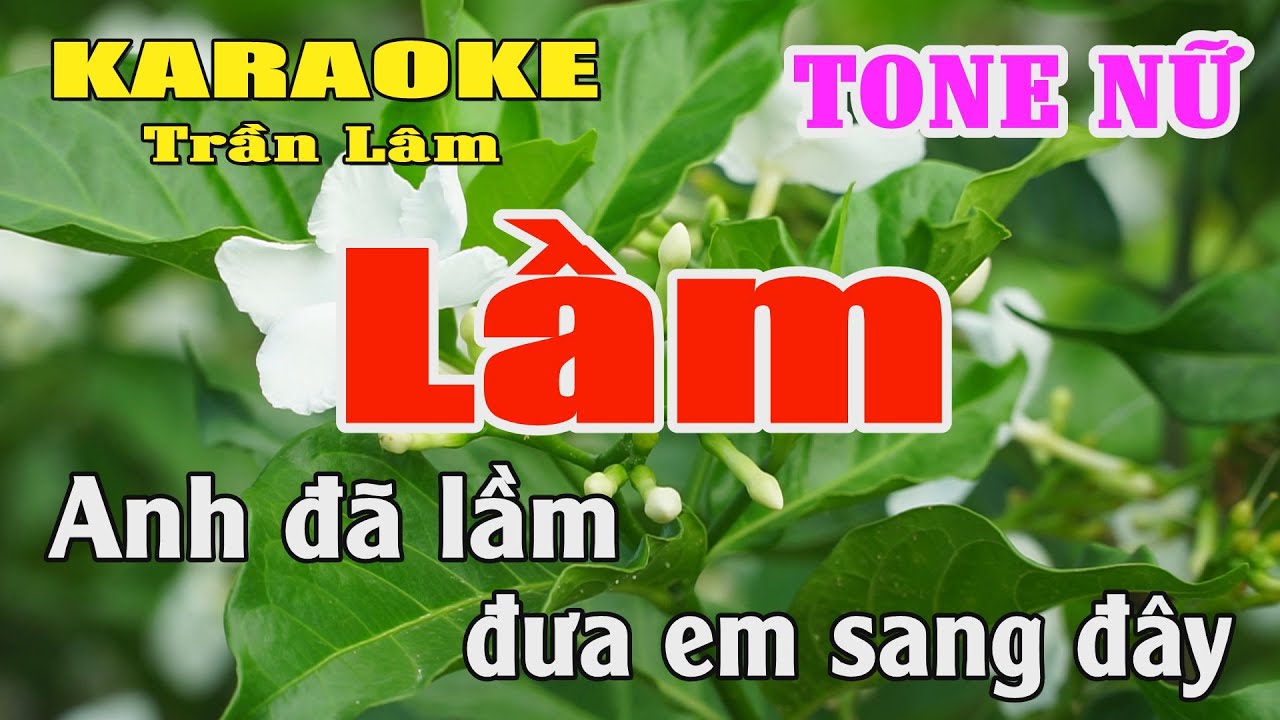 Karaoke Lầm Tone Nữ ( Mi giáng thứ ) Karaoke Trần Lâm