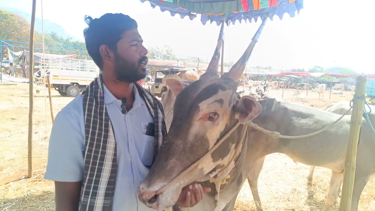 ನಮ್ಮ ಹೊರಿಗೆ ವರ್ತೂರು ಸಂತೋಷ್ ಧರ್ಮ ಅಂತ ಹೆಸರು ಇಟ್ಟಿದ್ದಾರೆ 