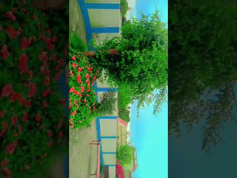 حقیقت میں بھت خوب صورت مسجد ذرا دیکھو تو سہی