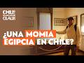 Claux inspecciona los tesoros de la casa Museo Pedro del Río Zañartu | Chile en los Ojos de Claux