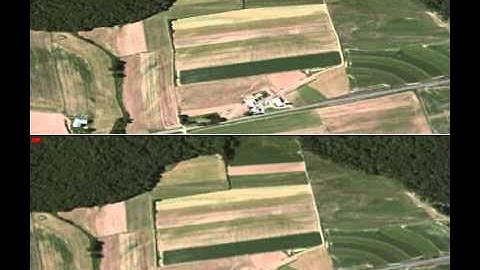 MicroImages Stereo Zoom-In