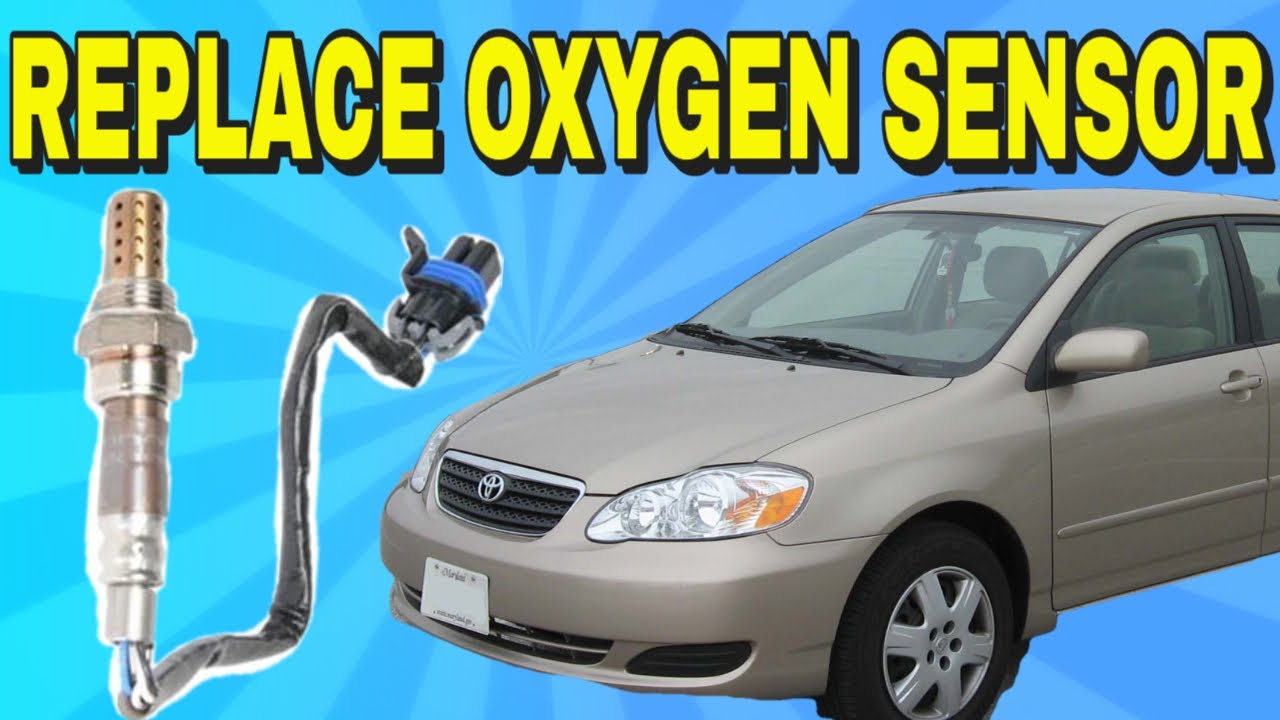 Update 88+ about oxygen sensor toyota corolla super cool - in.daotaonec