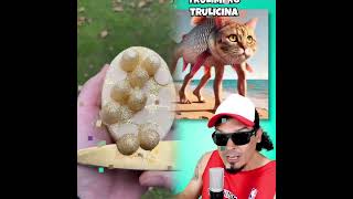 If You Did Dont Forget To Like Commented And Subscribe To My Channelshortscomediafunnyfyp