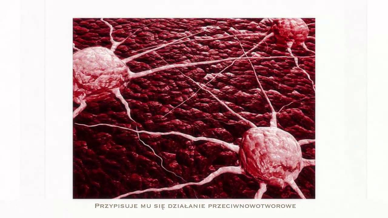 Tabletki Likopen Plus - Działanie ekstraktu w suplemencie