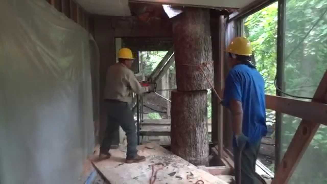 Crane Assisted Tree removal from the INSIDE of a house - YouTube