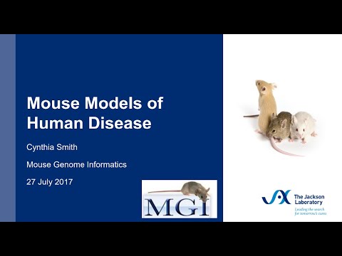 Video: Utlede Gen-til-fenotype Og Gen-til-sykdom-forhold Hos Mouse Genome Informatics: Utfordringer Og Løsninger
