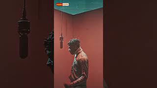 He Bought a $100,000 Chain… For His DOG 😳💀