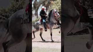 ¿Conocías el Paso Español?