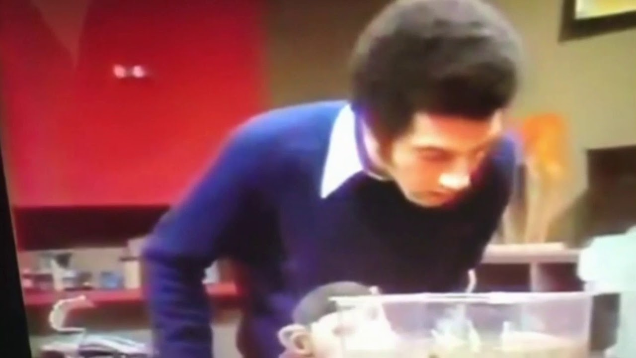 Pipkin's Workshop Death of a Goldfish