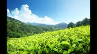 Download Lagu Khairul Amry 03   Di Manakah Kesetianmu MP3