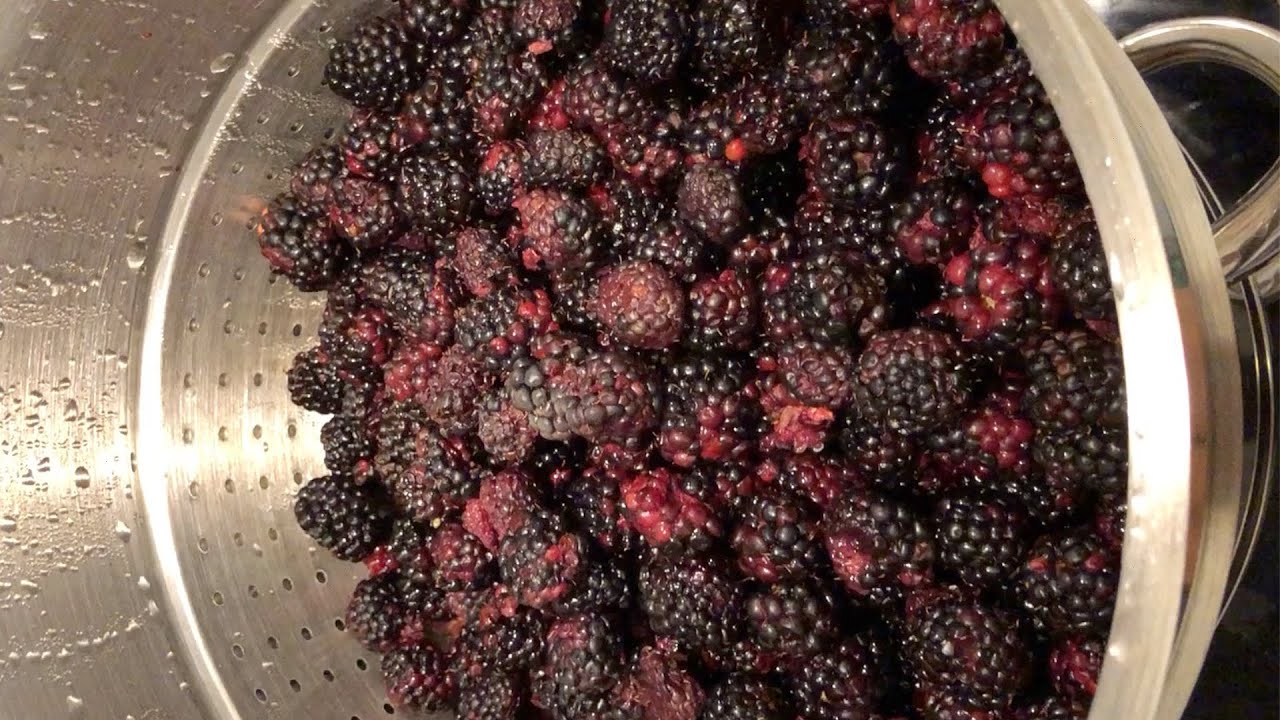 Comment faire du sirop à partir de mûres Jus de mûre naturel Bio, Eco
