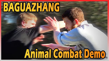 Baguazhang Freestyle Combat Demonstration