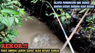 YAKIN KUAT.!! MANCING TAWES BABON PAKE UMPAN LARON STRIKE IKAN MONSTER || IKANNYA BESAR BESAR SEMUA