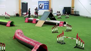 International Agility Training Week - Blind Cross and Connection - preview