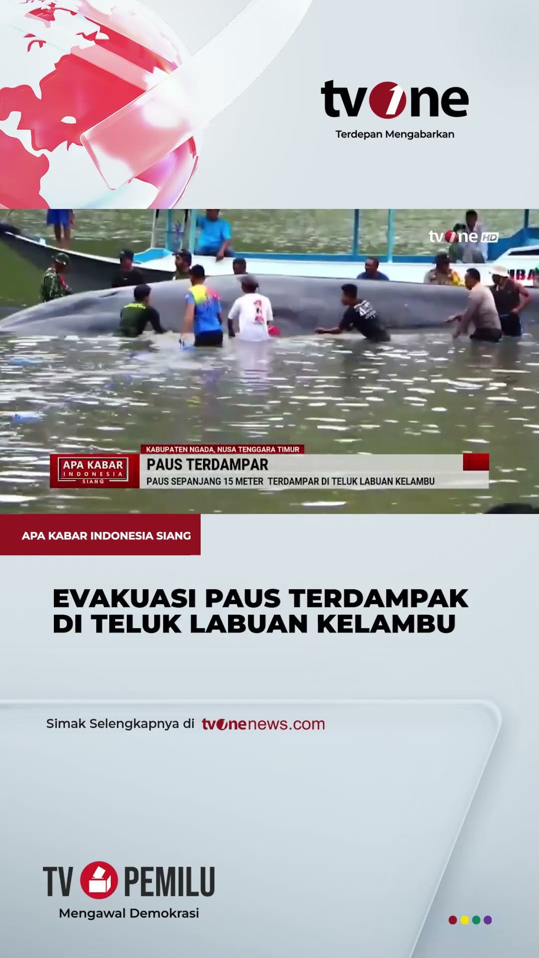 Geger, Paus Sepanjang 15 Meter Terdampar di Teluk Labuan Kelambu | tvOne