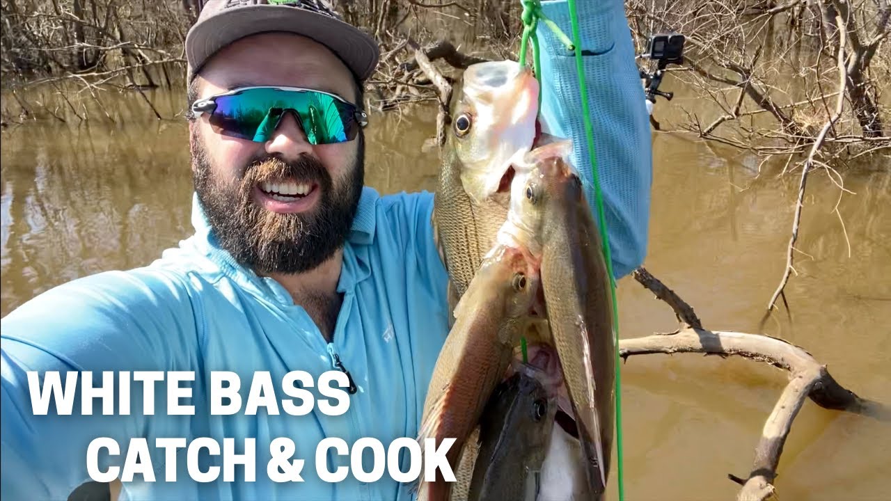 Angelina River White Bass Catch & Cook YouTube