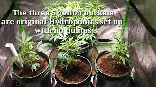 Grow setup