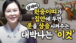 2022년 삼재띠 원숭이띠운세 잔나비띠운세원숭이띠가 집안에 놔두면 대박나는 운을 상승시켜주는 이것?전주점집 …