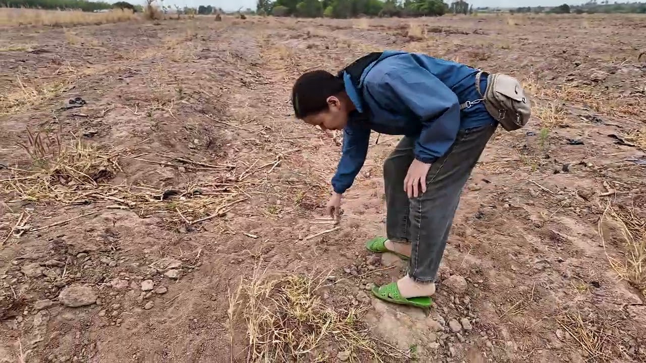 Sang nhượng 3.3ha đất trống 495tr cả lô ai thiện trí LH 0941724313(0977669965)