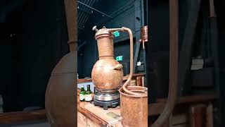 Making our own gin