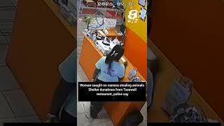 WANTED:WOMAN Accused of Stealing Animal Shelter Donations at Tazewell Restaurant.