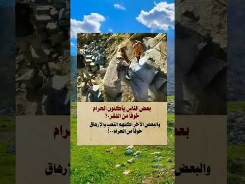 بعض الناس يأكلون الحرام خوفا من الفقر حالات واتس خواطر عبارات حكمة Shorts Story ستوريات علم النفس