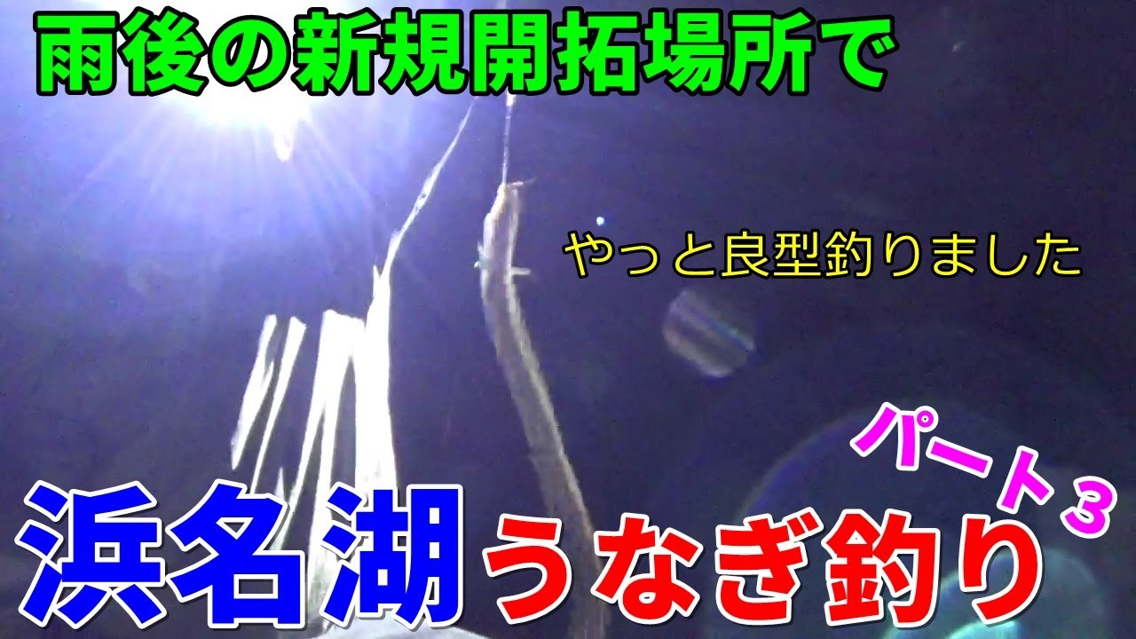 うなぎ釣り 3回目 浜名湖に流れる河川でうなぎ釣り Youtube うなぎ釣り 3回目 浜名湖に流れる河川でうなぎ釣り Youtube