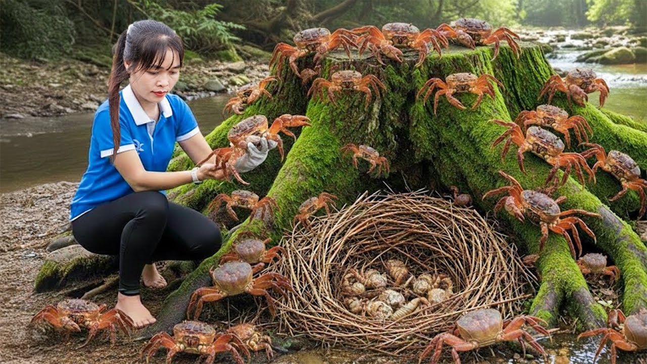 Capturei Muitos Caranguejos de Pedra no Campo e Levei ao Mercado–Técnica Primitiva de Captura Ousada