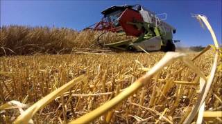 GoPro Moisson d'orge 2015