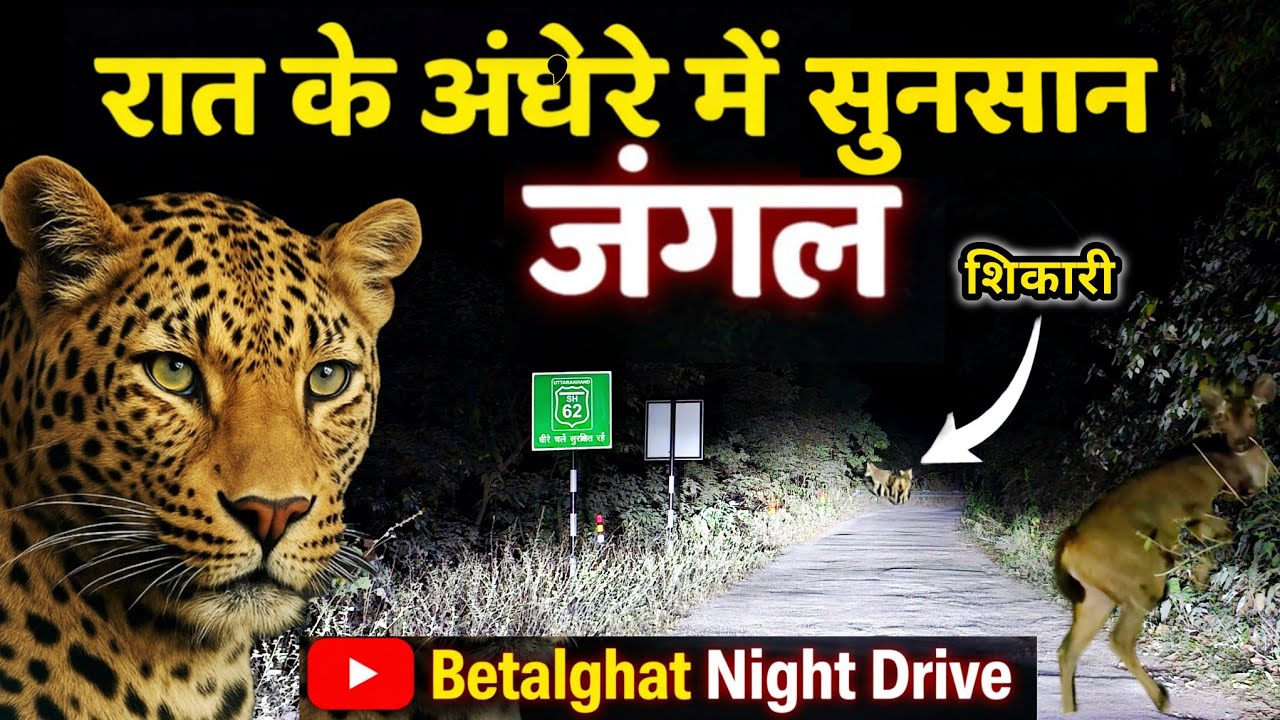 Night Drive Jim Corbett | रात के अंधेरे में सुनसान जंगल | Jim corbett के पास खौफनाक रात