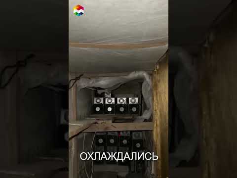 СЕКРЕТНАЯ ПОДЗЕМНАЯ ФЕРМА