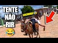 TENTE NÃO RIR: OS MELHORES MEMES DA INTERNET #tentenaorir #videosengracados #comedia #humor #tiktok