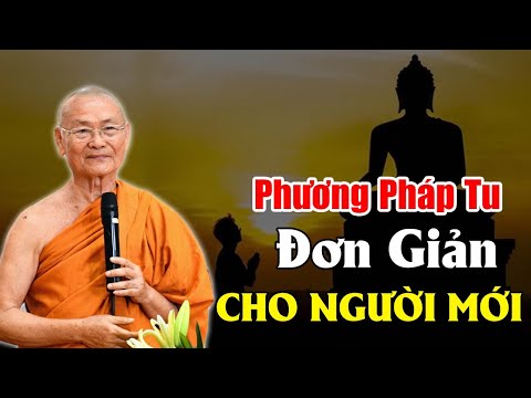 Phương Pháp TU TẬP Rất Đơn Giản Cho NGƯỜI MỚI Không Thể Bỏ Qua 