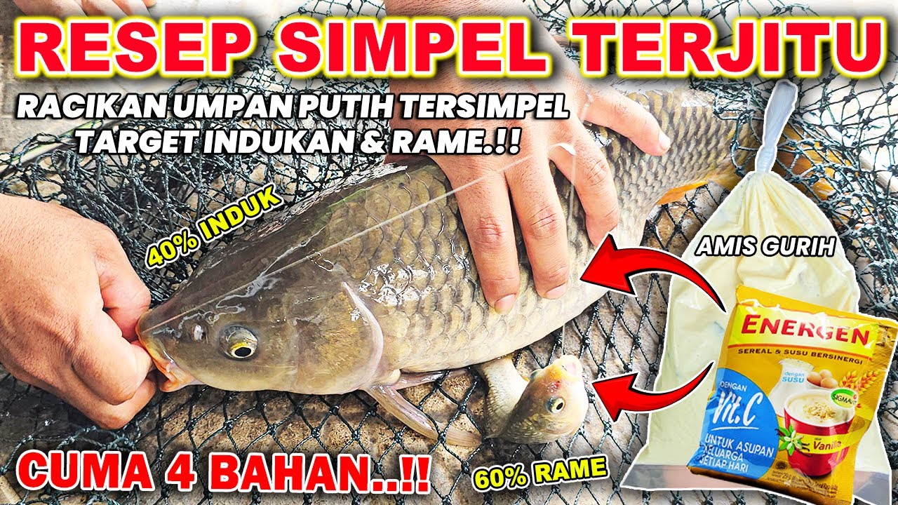 RESEP UMPAN PUTIH SIMPEL TERJITU CUMA 4 BAHAN !! 40% TARGET INDUKAN 60 % TARGET IKAN RAME ❗❗