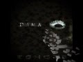 Echoes by dama