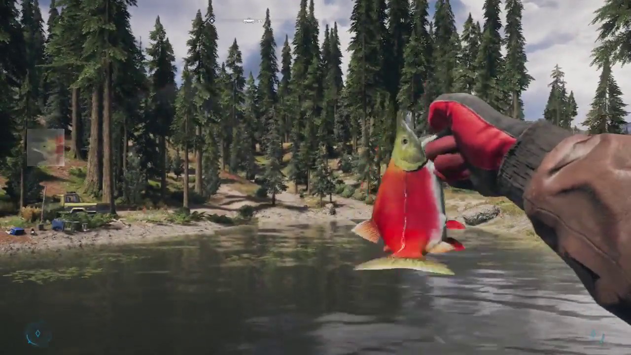 Far Cry 5Fly Fishing for Kokanee Salmon YouTube