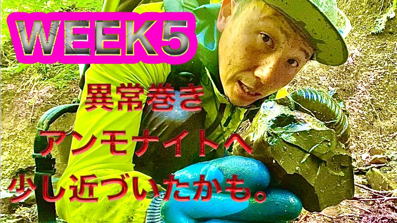 【S4】WEEK５ またまた異常巻きアンモナイトを求めて。今回はどうなるか？！