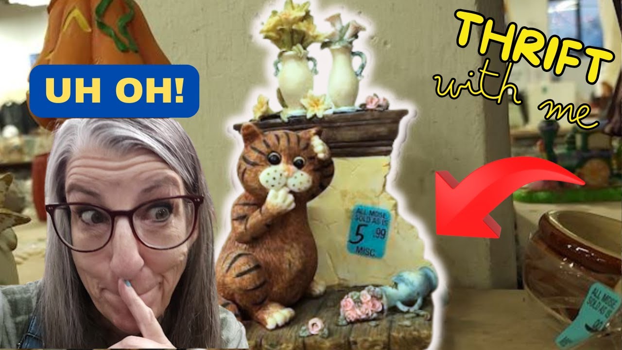 I BOUGHT THE WHOLE CAT COLLECTION at This Thrift Store in New Jersey ...