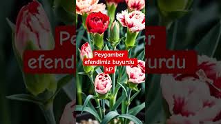 Peygamber efendimiz buyurdu ki