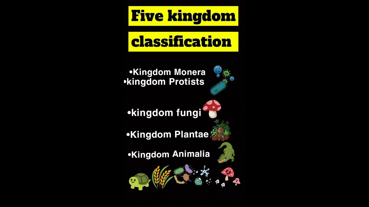 Five kingdom classification||Kingdom Plantae||kingdom protista||kingdom