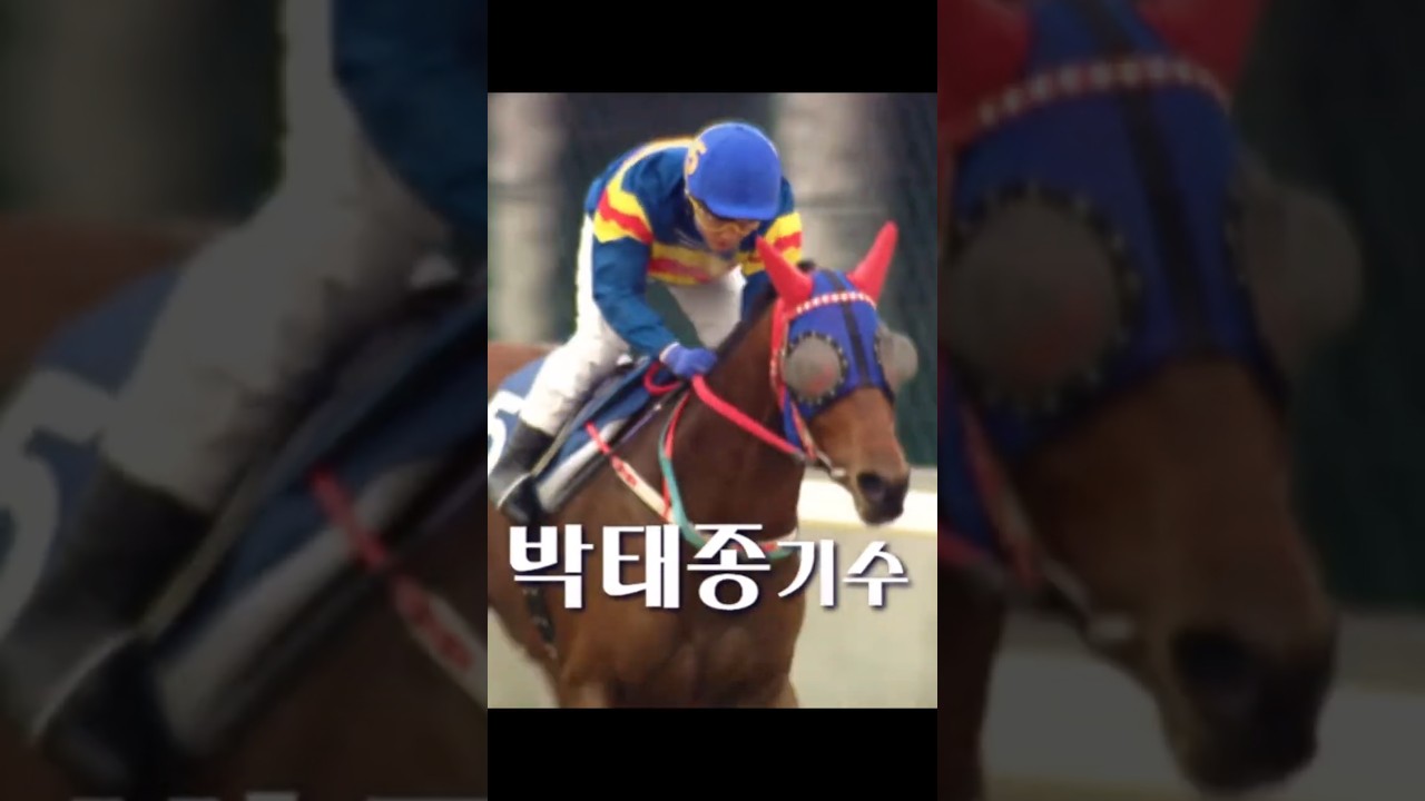 12/21 서울경마장6R 박태종 기수 은퇴 경주 다시보기! 미라클삭스 4번 연속 2착