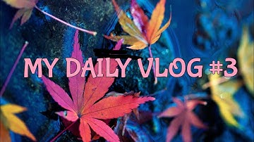 TUGAS =MY DAILY VLOG 3= || MY HOBBY VLOG || HNK Official
