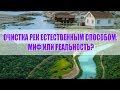 Дыхание жизни. Очистка рек естественным способом: миф или реальность?