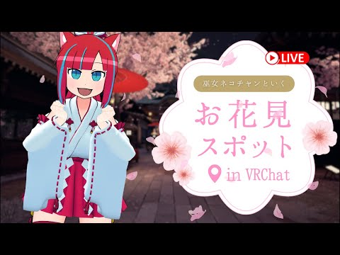 【全身3D / フルトラ】巫女ネコチャンとお花見雑談🌸【マリーさん / Vtuber】