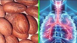 Amazing  Health  Benefits of Bitter Kola| SHIENWI TAPISI